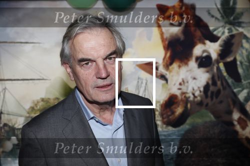 Amsterdam 12 januari 2020
Premiere Dolittle in pathe Arena. Derek de Lint