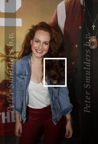 Amsterdam 20 januari 2020
Premiere Bad Boys for life in pathe Arena. Dian Biemans