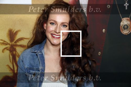 Amsterdam 20 januari 2020
Premiere Bad Boys for life in pathe Arena. Dian Biemans