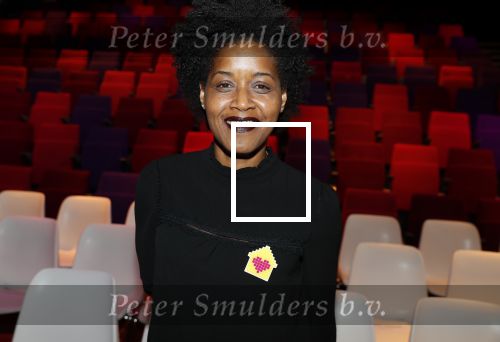 Amsterdam 29 januari 2020
Gala van het vergeten kind bij de westergasfabriek. Dolores Leeuwin