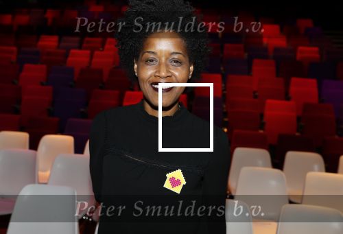 Amsterdam 29 januari 2020
Gala van het vergeten kind bij de westergasfabriek. Dolores Leeuwin