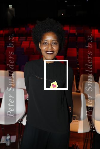Amsterdam 29 januari 2020
Gala van het vergeten kind bij de westergasfabriek. Dolores Leeuwin