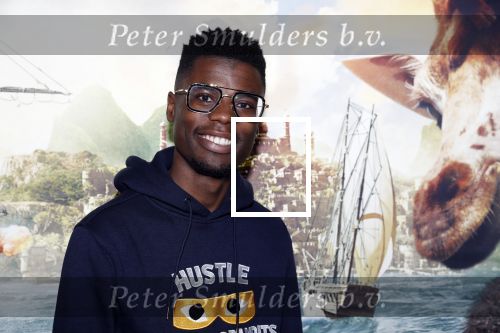 Amsterdam 12 januari 2020
Premiere Dolittle in pathe Arena. Donovan Snoyl