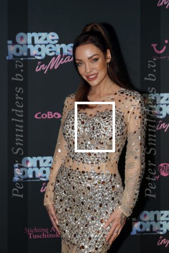 Amsterdam 27 januari 2020
Premiere Onze Jongens in Miami in Tuschinski. Doerien Rose kwam met haar moeder