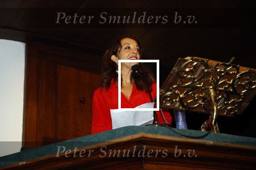 Zaandam 11 maart 2020
Het boeckenbal in de Bullekerk in Zaandam . EBRU UMAR