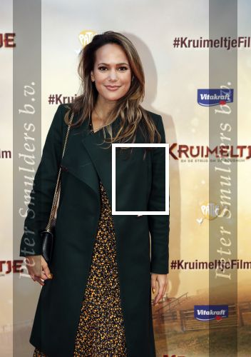 Amsterdam 1 februari 2020
Premiere Kruimeltje in Tuschinski. Elise v d Horst