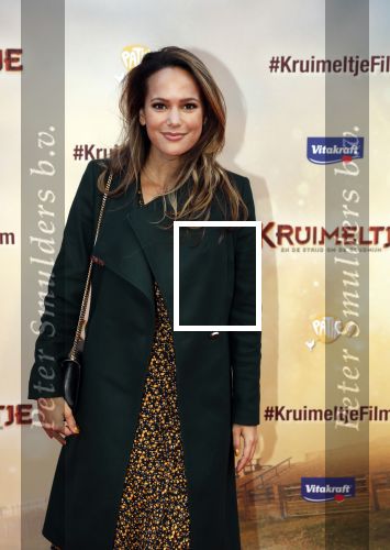Amsterdam 1 februari 2020
Premiere Kruimeltje in Tuschinski. Elise v d Horst