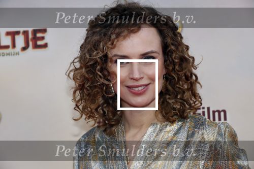 Amsterdam 1 februari 2020
Premiere Kruimeltje in Tuschinski. Ellen Pieters kwam met haar zoon