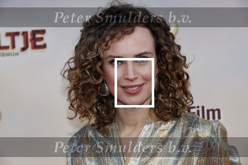 Amsterdam 1 februari 2020
Premiere Kruimeltje in Tuschinski. Ellen Pieters kwam met haar zoon