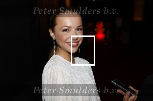 Hilversum 9 maart 2020
Uitreiking Buma awards in studio 21 op het mediapark. Emma Heesters