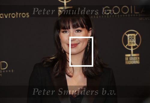 Hilversum 30 januari 2020
Radioring gala in theater gooiland . Emmely de Wilt