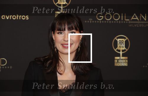 Hilversum 30 januari 2020
Radioring gala in theater gooiland . Emmely de Wilt