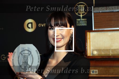 Hilversum 30 januari 2020
Radioring gala in theater gooiland . Emmely de Wilt