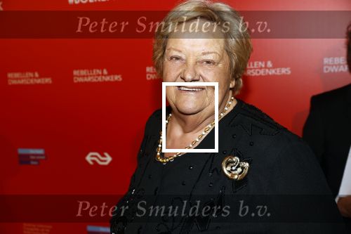 Amsterdam 6 maart 2020
Boekenbal 2020 in de koninklijke schouwburg. Erica Terpstra