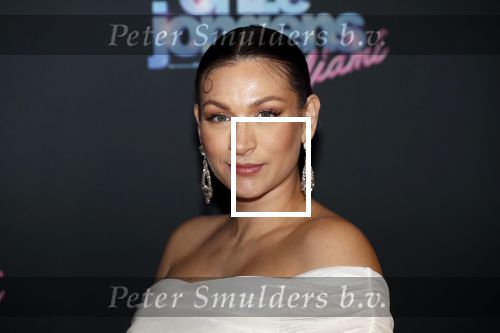 Amsterdam 27 januari 2020
Premiere Onze Jongens in Miami in Tuschinski. Eva v d Wijdeven