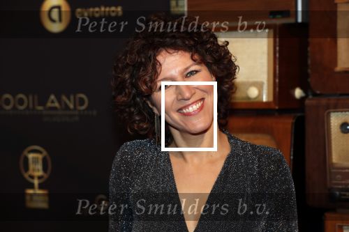Hilversum 30 januari 2020
Radioring gala in theater gooiland . Evelien de Bruijn