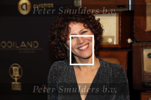 Hilversum 30 januari 2020
Radioring gala in theater gooiland . Evelien de Bruijn