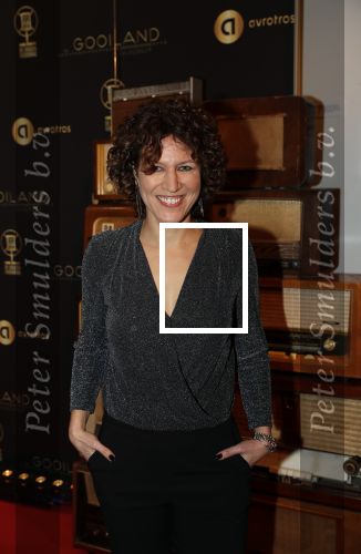 Hilversum 30 januari 2020
Radioring gala in theater gooiland . Evelien de Bruin