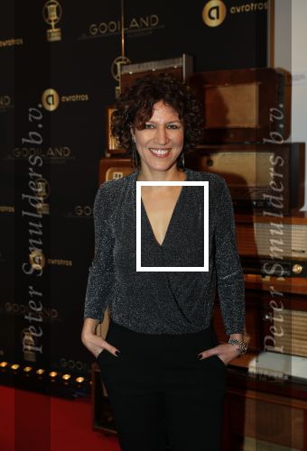 Hilversum 30 januari 2020
Radioring gala in theater gooiland . Evelien de Bruin