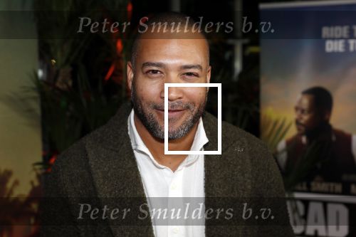 Amsterdam 20 januari 2020
Premiere Bad Boys for life in pathe Arena. everon jackson Hooi