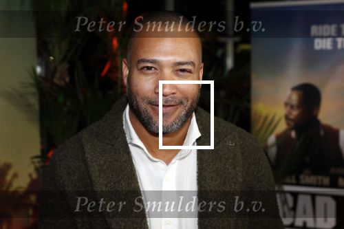 Amsterdam 20 januari 2020
Premiere Bad Boys for life in pathe Arena. everon jackson Hooi