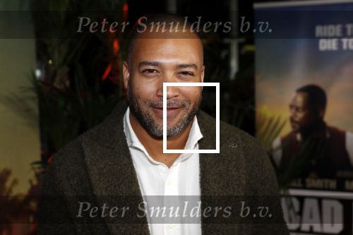 Amsterdam 20 januari 2020
Premiere Bad Boys for life in pathe Arena. everon jackson Hooi