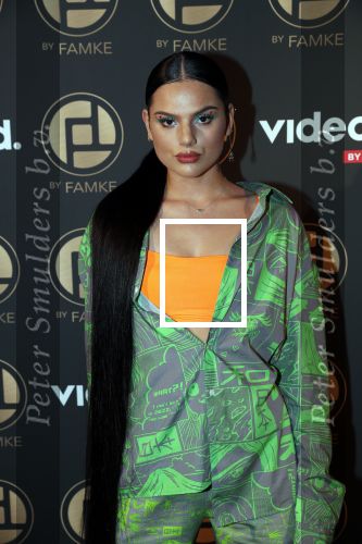 Amsterdam 9 januari 2020
Presentatie Bontgirl ( Videoland) van Famke Louise bij westergasfabriek.