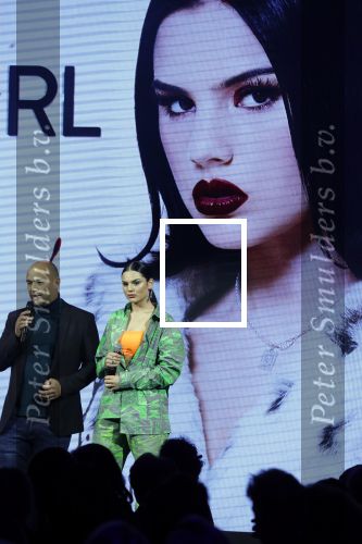 Amsterdam 9 januari 2020
Presentatie Bontgirl ( Videoland) van Famke Louise bij westergasfabriek.