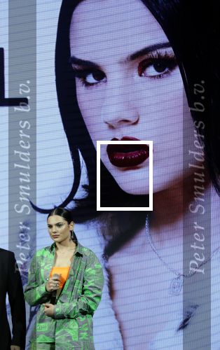 Amsterdam 9 januari 2020
Presentatie Bontgirl ( Videoland) van Famke Louise bij westergasfabriek.