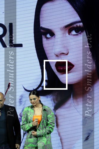 Amsterdam 9 januari 2020
Presentatie Bontgirl ( Videoland) van Famke Louise bij westergasfabriek.