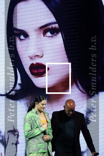 Amsterdam 9 januari 2020
Presentatie Bontgirl ( Videoland) van Famke Louise bij westergasfabriek.