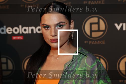 Amsterdam 9 januari 2020
Presentatie Bontgirl ( Videoland) van Famke Louise bij westergasfabriek.