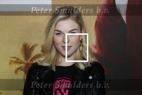 Amsterdam 20 januari 2020
Premiere Bad Boys for life in pathe Arena. Femke Meines