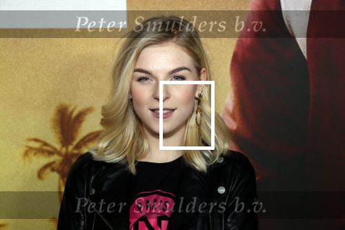 Amsterdam 20 januari 2020
Premiere Bad Boys for life in pathe Arena. Femke Meines