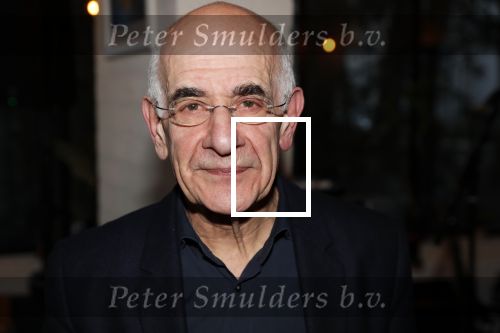 Hilversum 5 januari 2020
Peter Koelewijn krijgt een lintje van Burgemeester Pieter Broertjes.
Event vond plaats in de wisseloord studios. Frits Spits