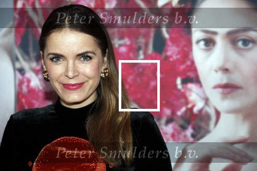 Amsterdam 6 februari 2020
Premiere Frida van het nationaal ballet in de Stopera. Hanna Verboom