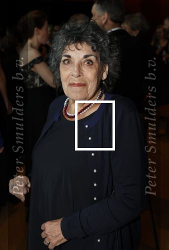 Rotterdam 8 maart 2020
Premiere Hello Dolly in het nieuwe Luxor. Hanneke Groenteman