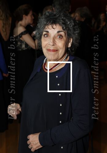 Rotterdam 8 maart 2020
Premiere Hello Dolly in het nieuwe Luxor. Hanneke Groenteman