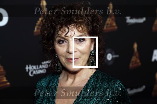 Amsterdam 22 januari 2020
Musicalgala in de Rai. Henriette Tol met partner Rob Snoek