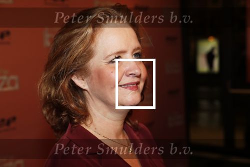 Amsterdam 3 februari 2020
Premiere verliefd op ibiza in het deLamar theater. Hylke Bierman kwam met haar man