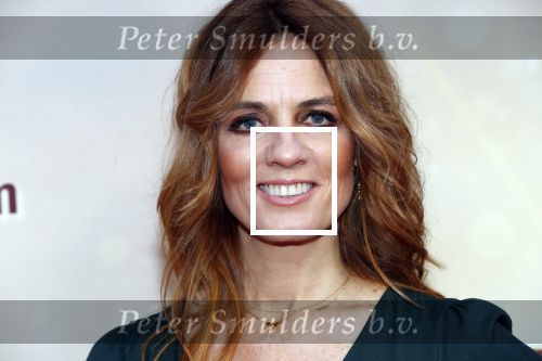 Amsterdam 1 februari 2020
Premiere Kruimeltje in Tuschinski. ilse Warringa