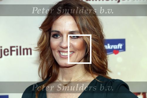 Amsterdam 1 februari 2020
Premiere Kruimeltje in Tuschinski. ilse Warringa