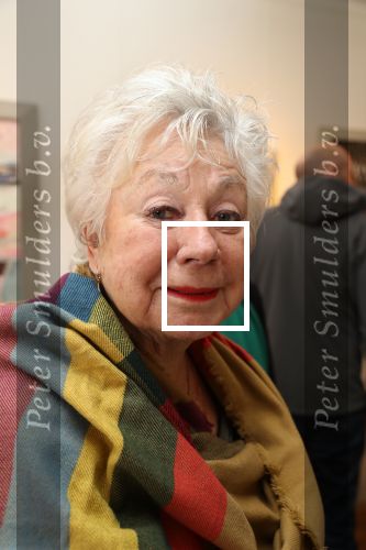 Amsterdam, 8 Maart 2020
Opening Zo Mooi Gallery met schilderrijen van BN-ers
Ingeborg Elzevier