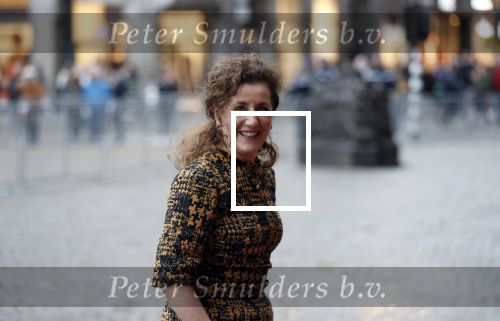 Amsterdam 14 januari 2020
Nieuwjaarsreceptie van Koningin Maxima en Koning Willem Alexander in het paleis op de dam. Ingrid van Engelshoven