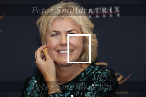 Utrecht 9 februari 2020
Premiere Tina Turner musical in het Beatrix Theater.
Irene Moors