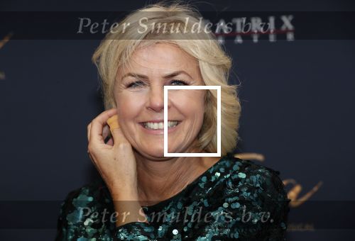 Utrecht 9 februari 2020
Premiere Tina Turner musical in het Beatrix Theater.
Irene Moors