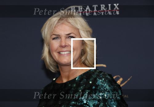Utrecht 9 februari 2020
Premiere Tina Turner musical in het Beatrix Theater.
Irene Moors