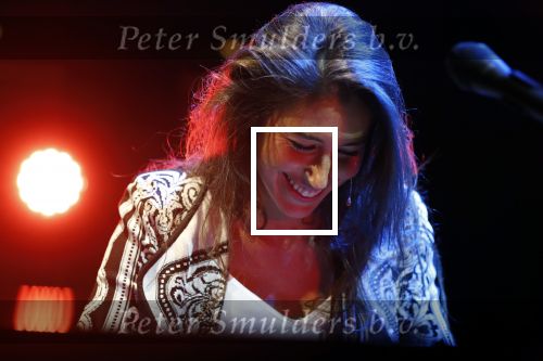Leiden 14 januari 2020
Premiere show Iris Hond in de Leidse Schouwburg.