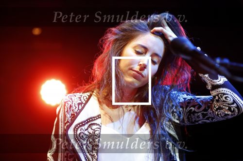 Leiden 14 januari 2020
Premiere show Iris Hond in de Leidse Schouwburg.