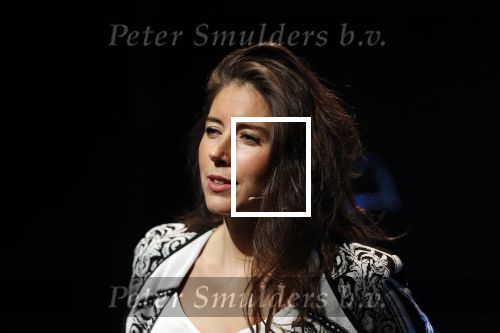 Leiden 14 januari 2020
Premiere show Iris Hond in de Leidse Schouwburg.